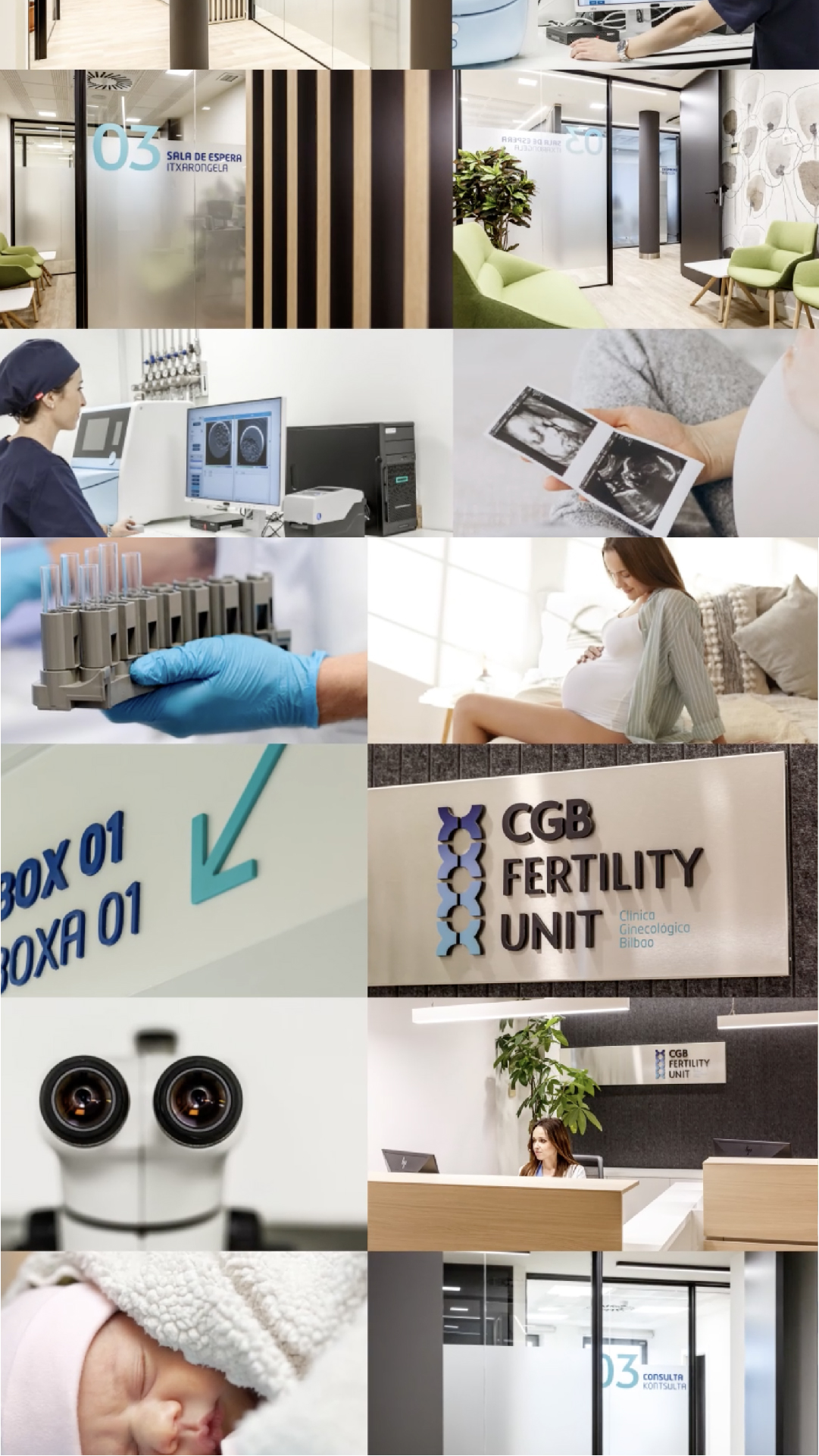 CGB Fertility Unit markagintza - Burutü